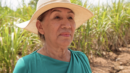 Alicia Flores Hernández «Madres trabajadoras»