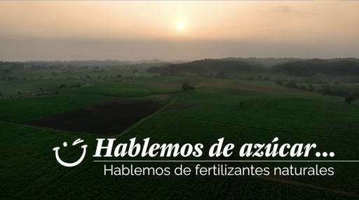 Fertilizantes naturales «Cultivos más saludables»