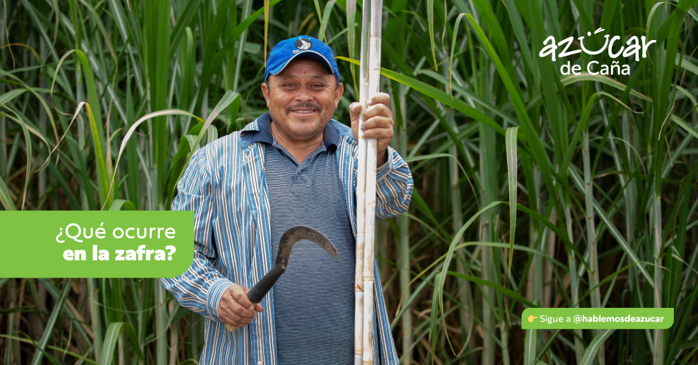 Hablemos de azúcar - $p_title