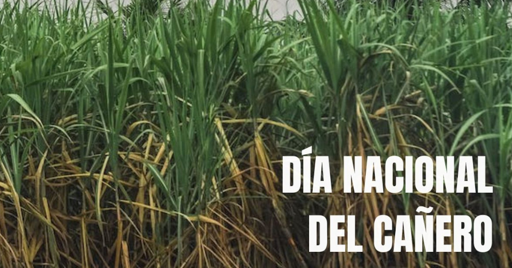 Honor a quien honor merece: celebremos el Día Nacional del Cañero