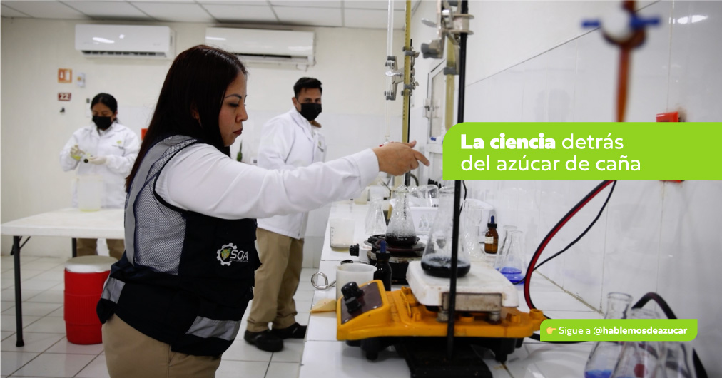 ¿Cuánto conocimiento científico hay detrás de un grano de azúcar?