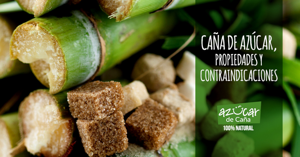 Caña de azúcar: Propiedades y contraindicaciones.
