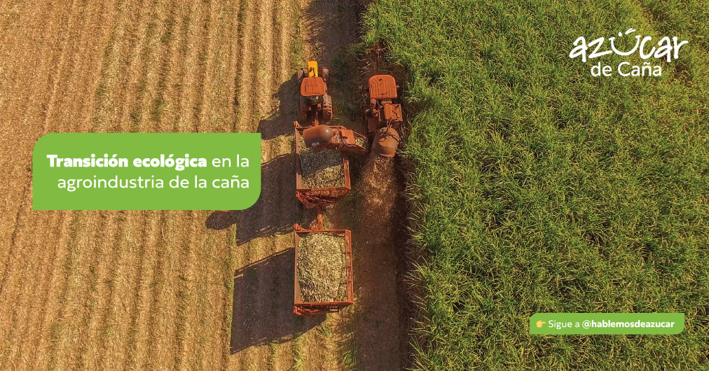Modelo de desarrollo sostenible en la caña de azúcar