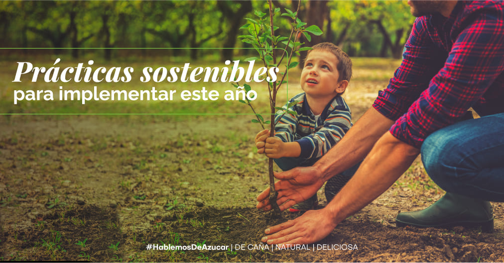 Propósitos Verdes: Prácticas Sostenibles para Implementar este Año