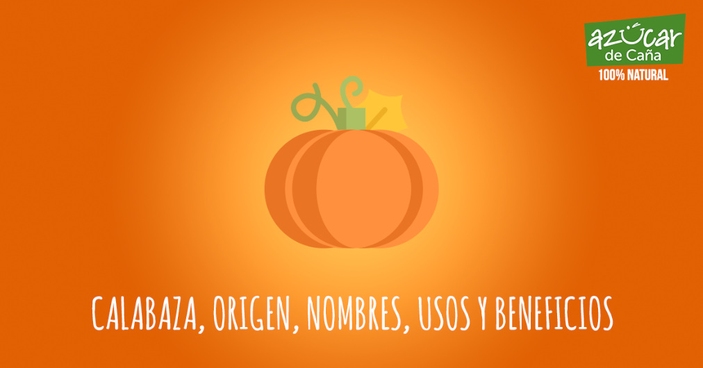 Calabaza, origen, nombres, usos y beneficios.