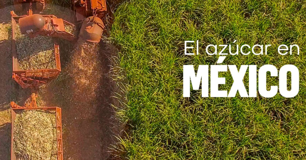 Azúcar de Caña: Dulce Historia de las Raíces Mexicanas