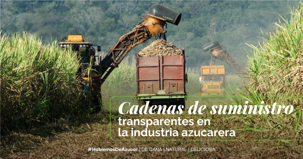 Cadenas de suministro transparentes: El nuevo estándar en la industria azucarera