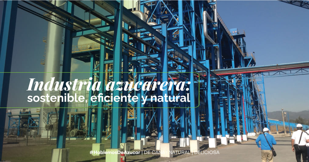 El reciclaje en la industria azucarera: Un enfoque sostenible y eficiente