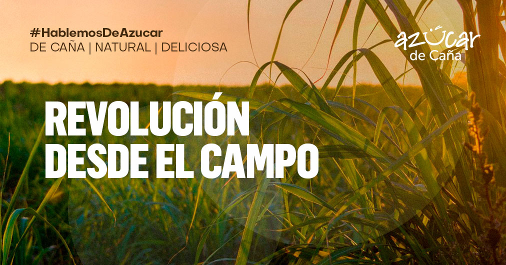 El campo cañero en la revolución mexicana