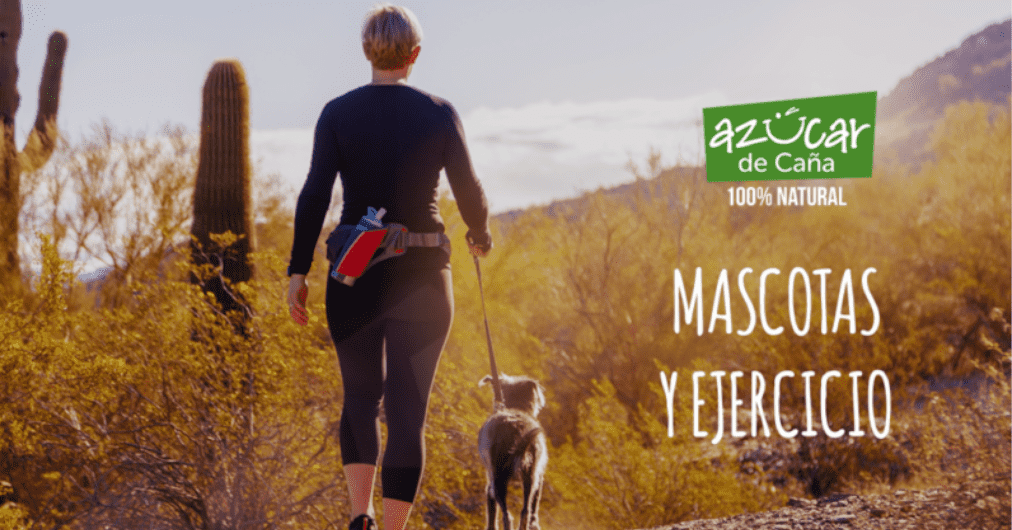 Mascotas y ejercicio  