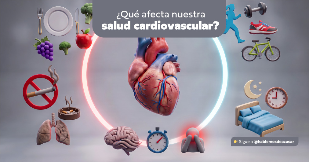 Lo que realmente cuida tu salud cardiovascular