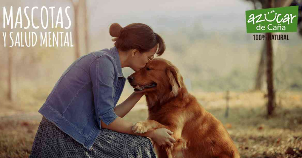 Mascotas y salud mental