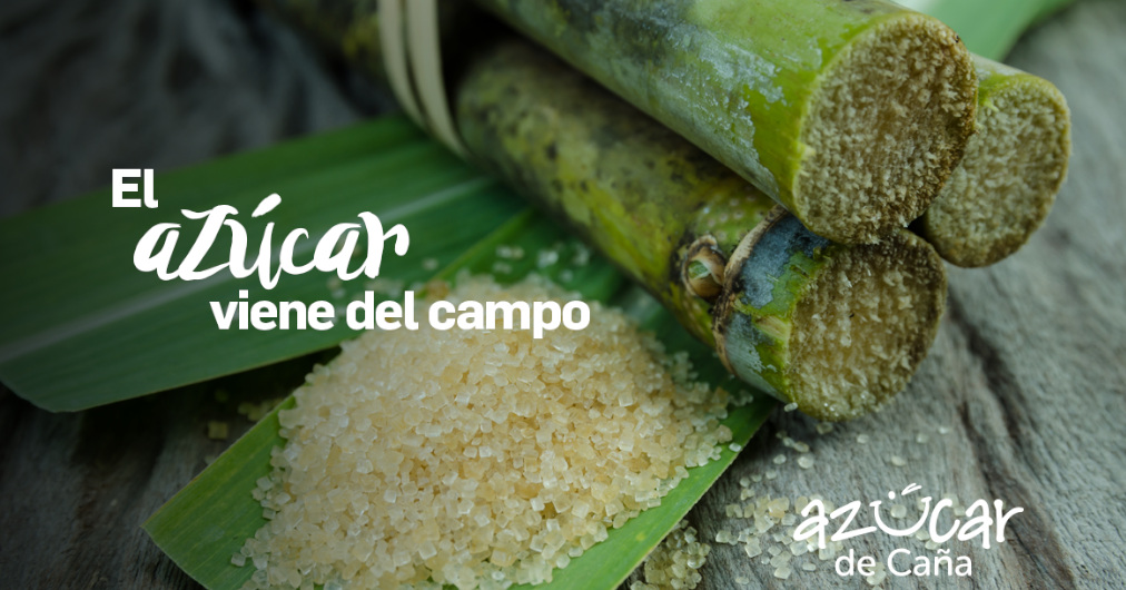 El azúcar de caña viene del campo