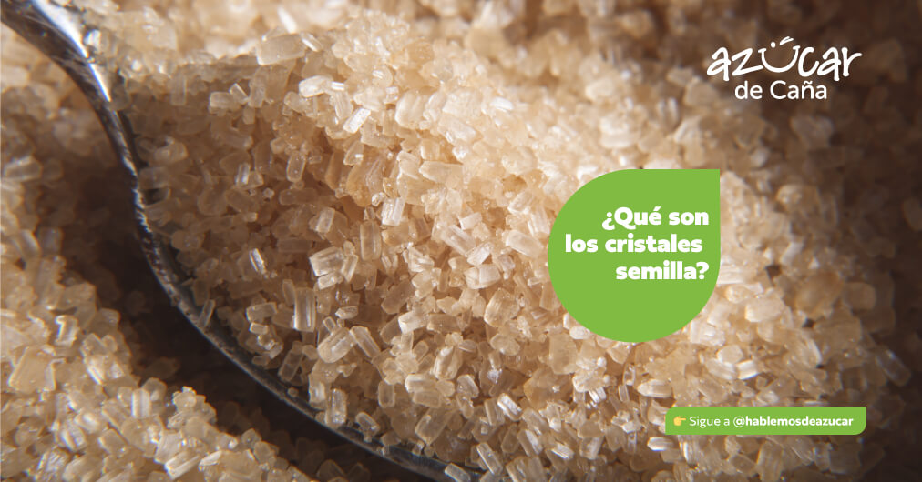 Cristalización del azúcar: El rol esencial de los cristales semilla