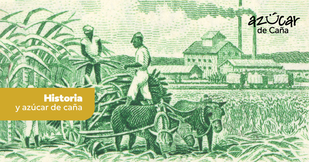 La caña de azúcar: un legado que endulza la historia de México.