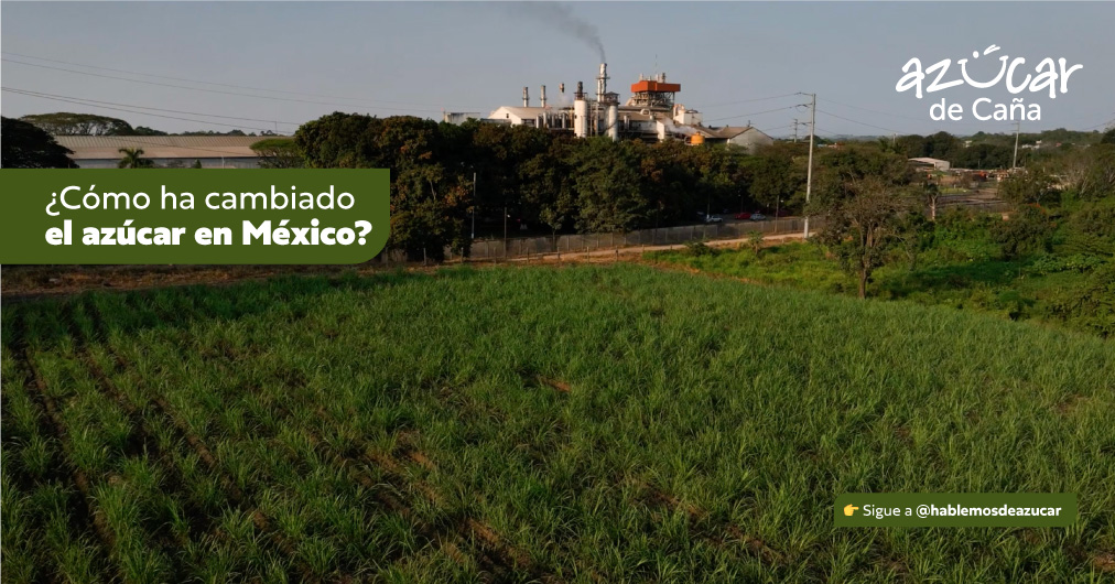 ¿Cómo ha cambiado el azúcar en México?