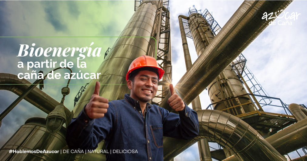 Avances tecnológicos en la producción de bioenergía a partir de la caña de azúcar