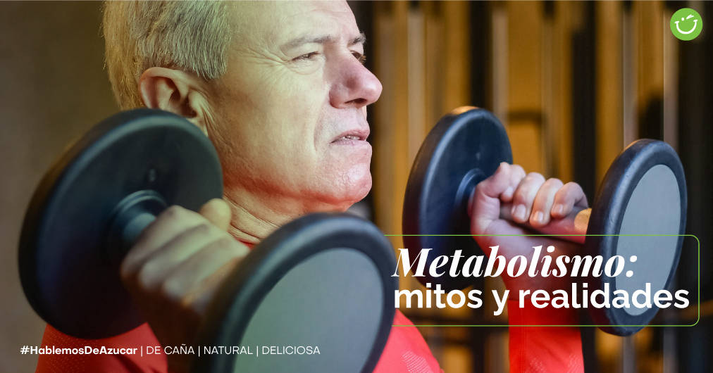 Cómo cambia nuestro metabolismo con la edad: Mitos y realidades
