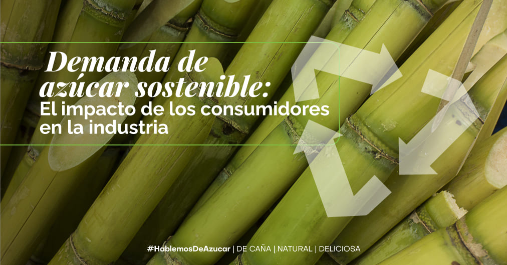La demanda de azúcar sostenible: el impulso del consumidor en la industria