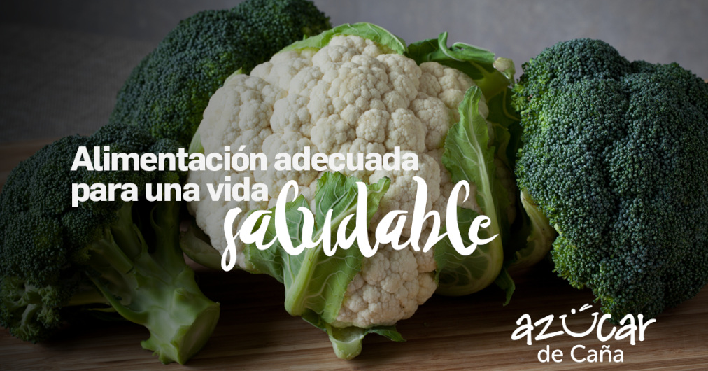 Alimentación adecuada para una vida saludable