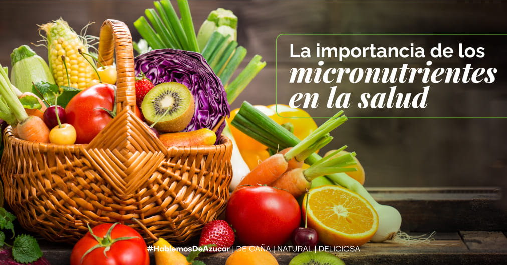 Micronutrientes: La clave para una salud óptima y bienestar integral