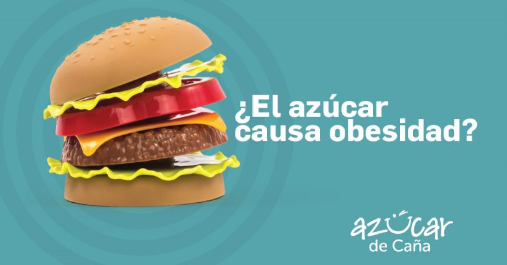 ¿El azúcar causa obesidad?