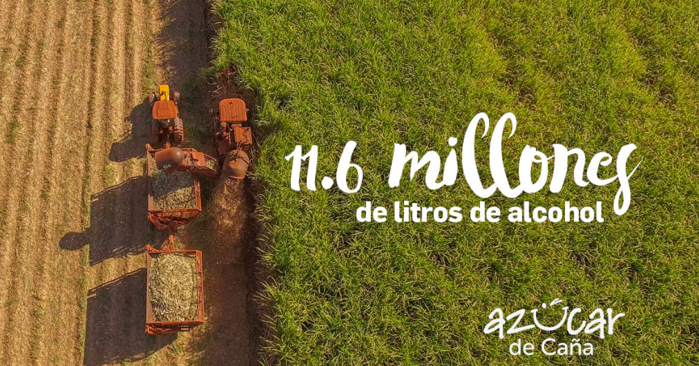 Ingenios azucareros ante contingencia por COVID-19