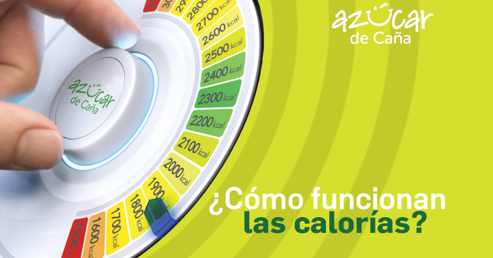 ¿Qué es el balance energético?