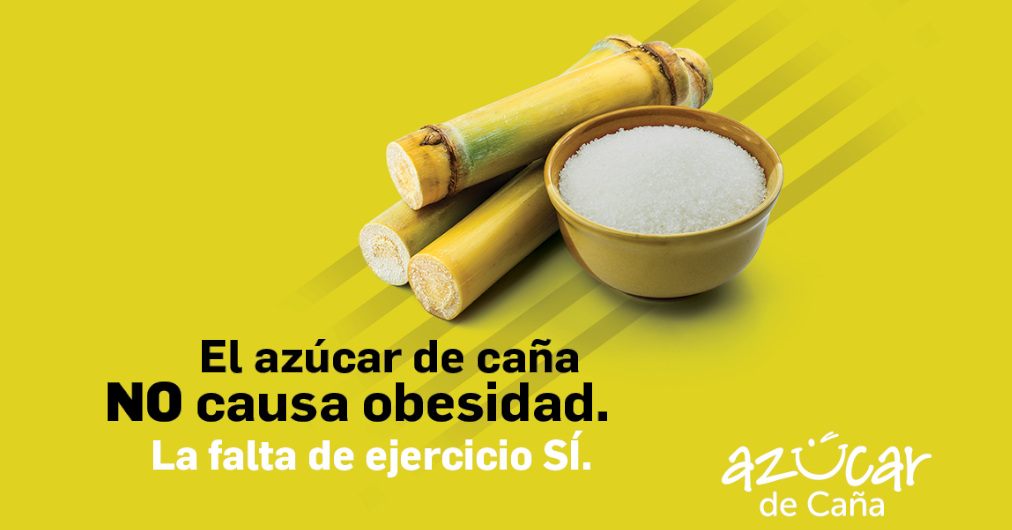 El azúcar de caña NO causa obesidad
