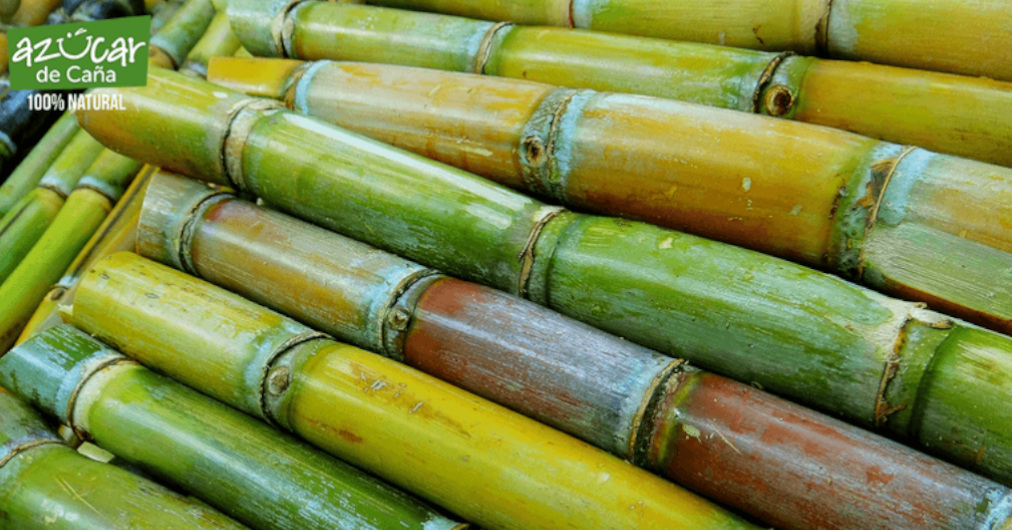 Azúcar de caña: Una pizca de sano