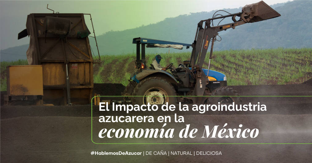 El impacto de la agroindustria azucarera en el crecimiento económico de México