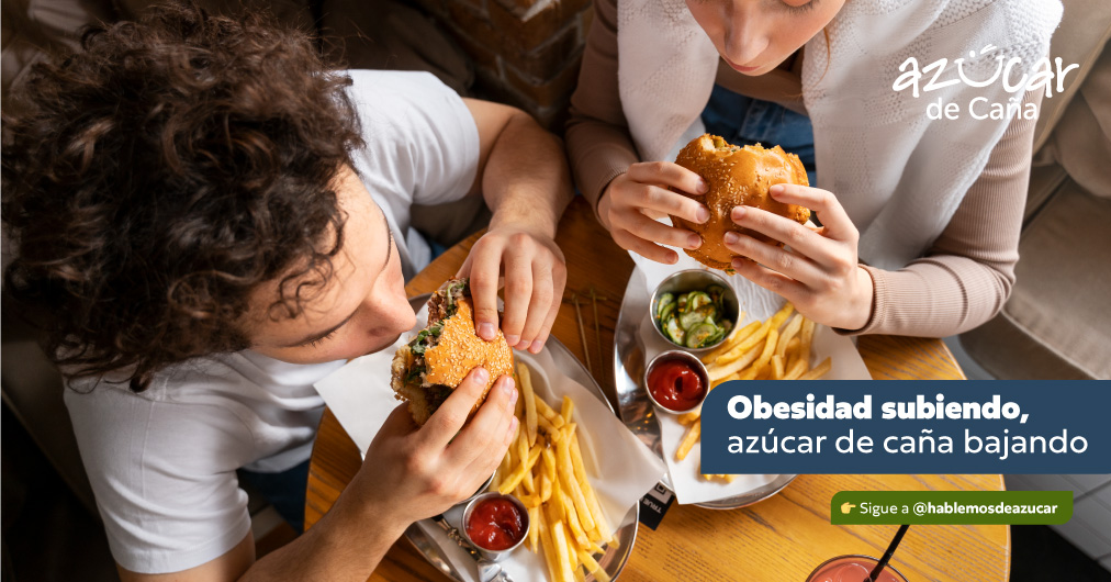 ¿Por qué la obesidad aumenta si el consumo de  azúcar de caña disminuye?