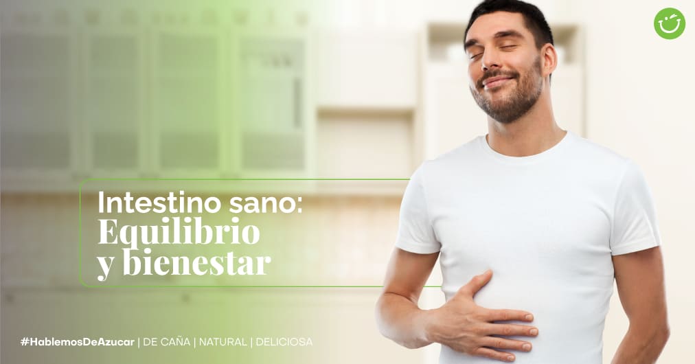 Beneficios del azúcar de caña para la flora intestinal y el sistema digestivo