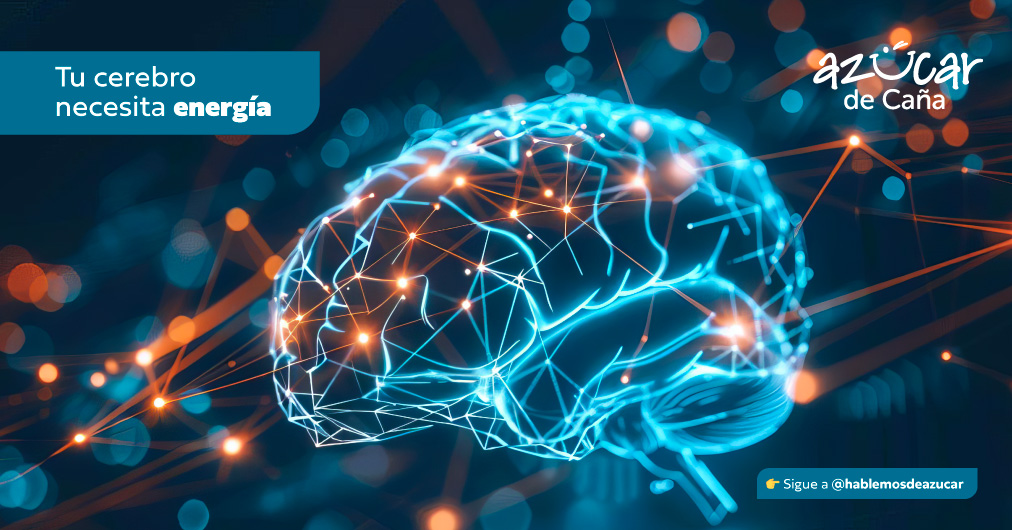 Glucosa, la principal fuente de energía del cerebro