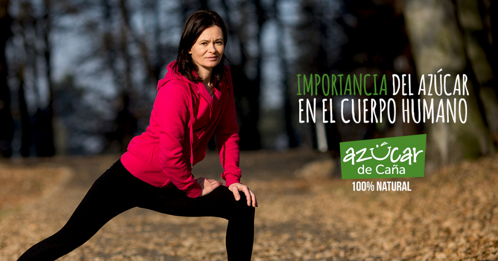 Importancia del azúcar en el cuerpo humano