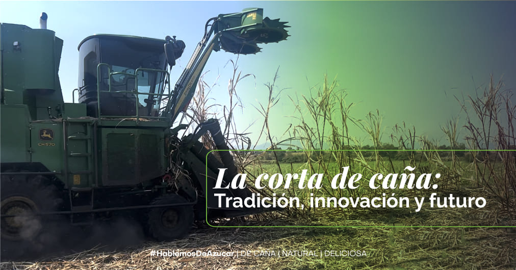 La evolución de la corta de caña de azúcar