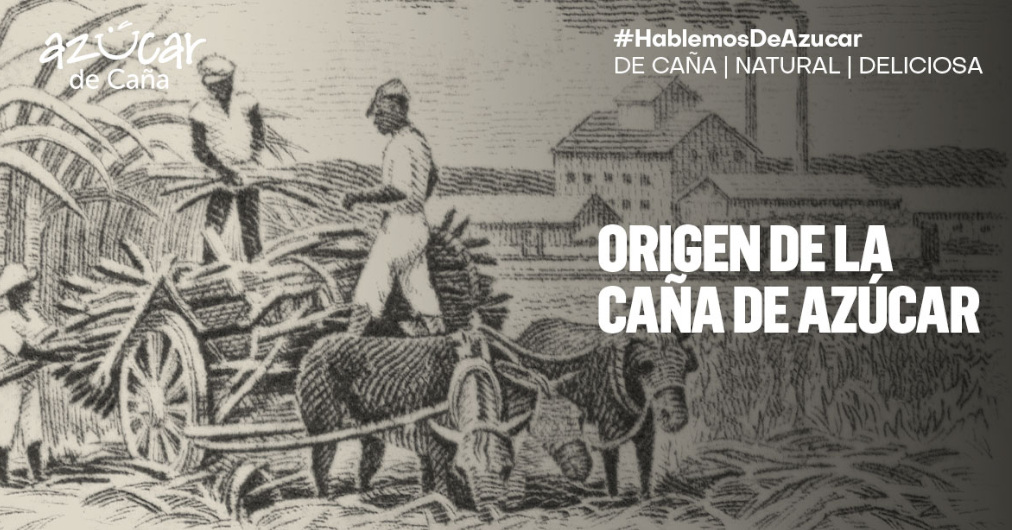 Así llegó la deliciosa caña de azúcar a México