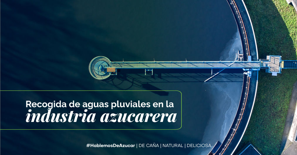 La recogida de aguas pluviales: Transformando la Industria Azucarera