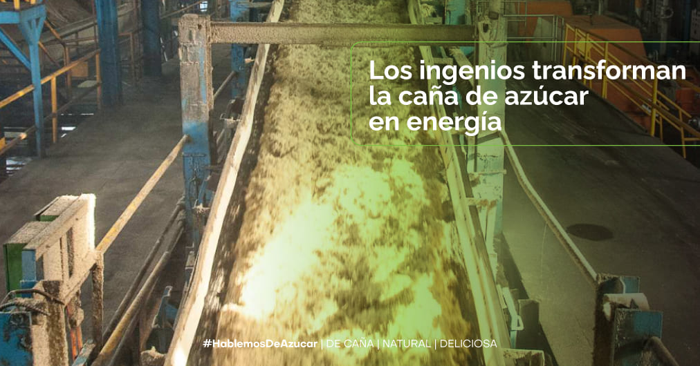 De la caña a la corriente: Cómo los ingenios generan energía con sostenibilidad